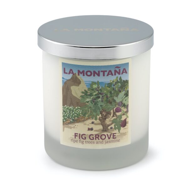 Fig Grove candle