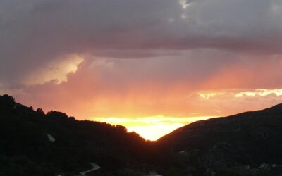 AUGUST SUNSET